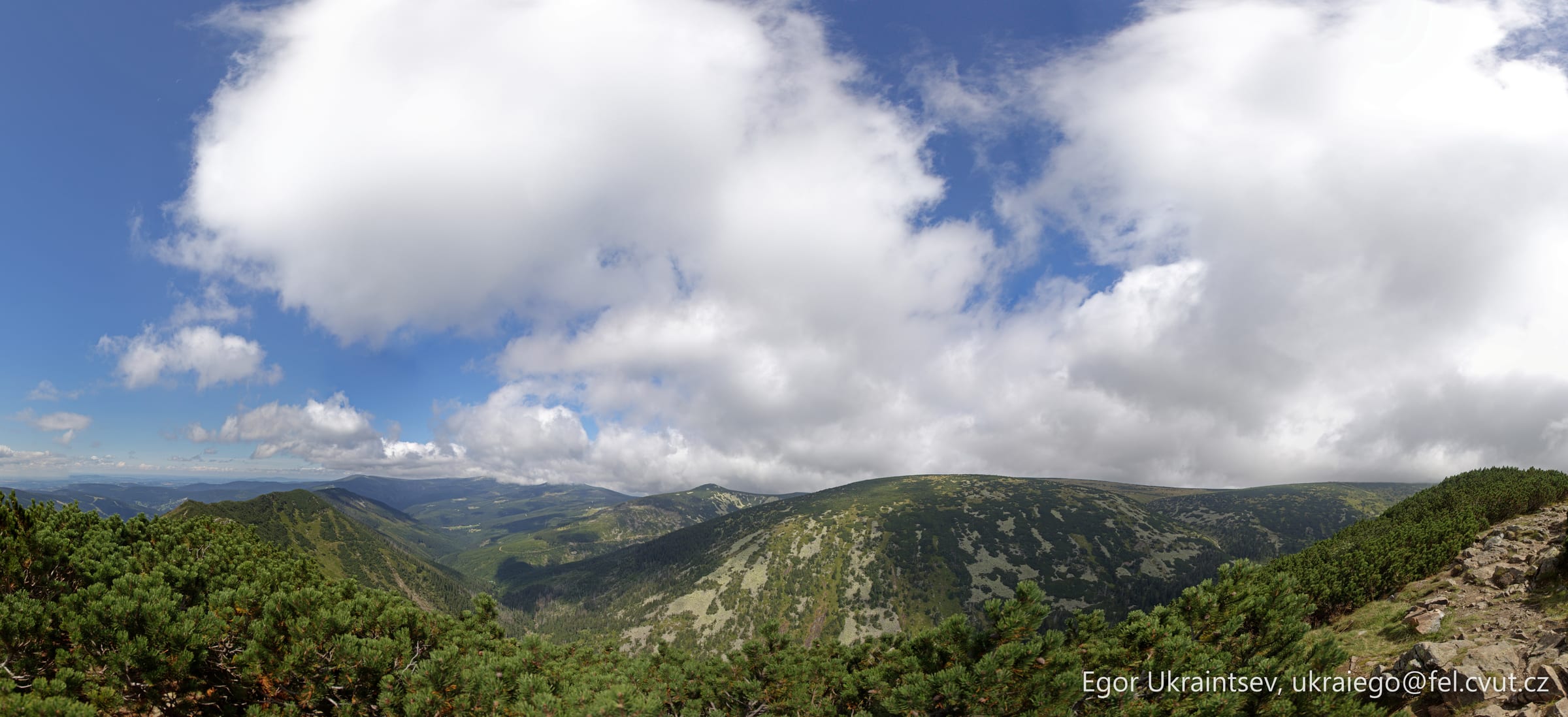 View of mountains and trees