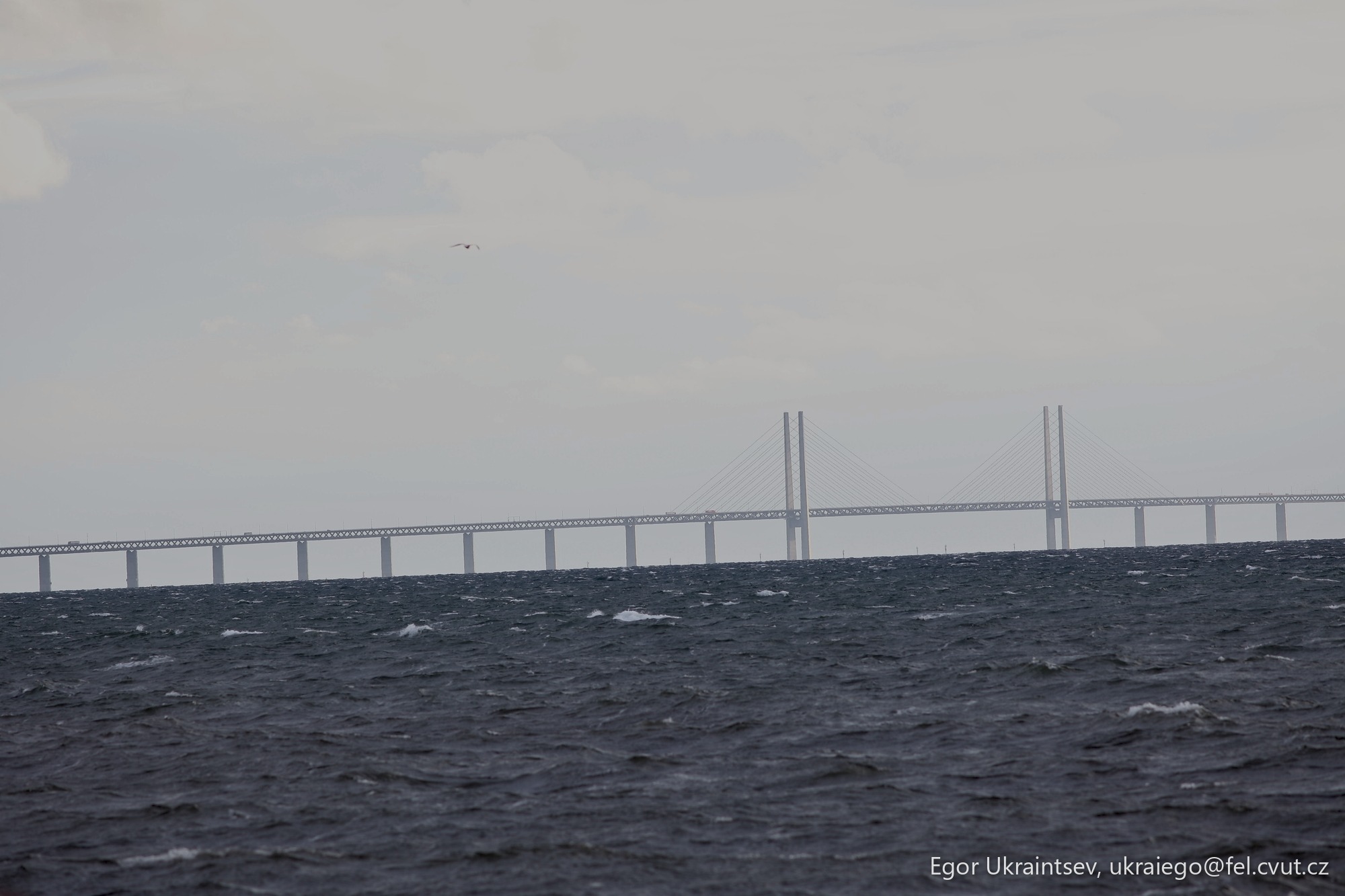 Bridge in the middle of a body