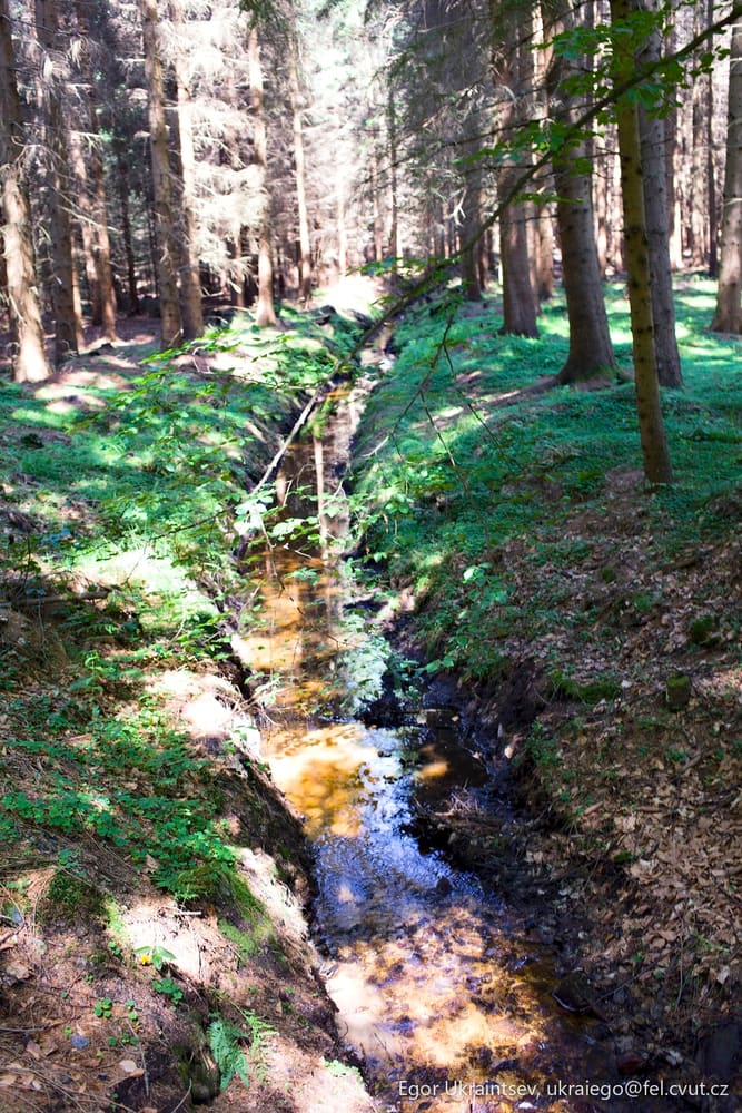 Creek in the woods