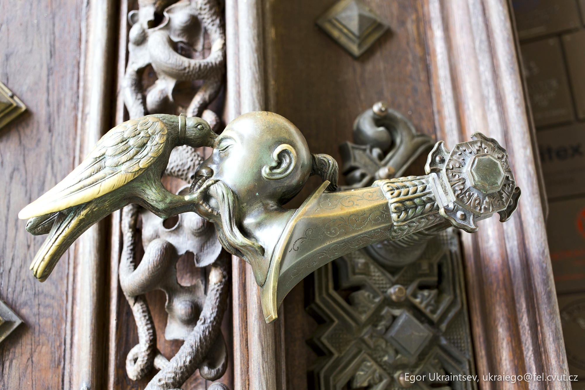 Bird on a door handle