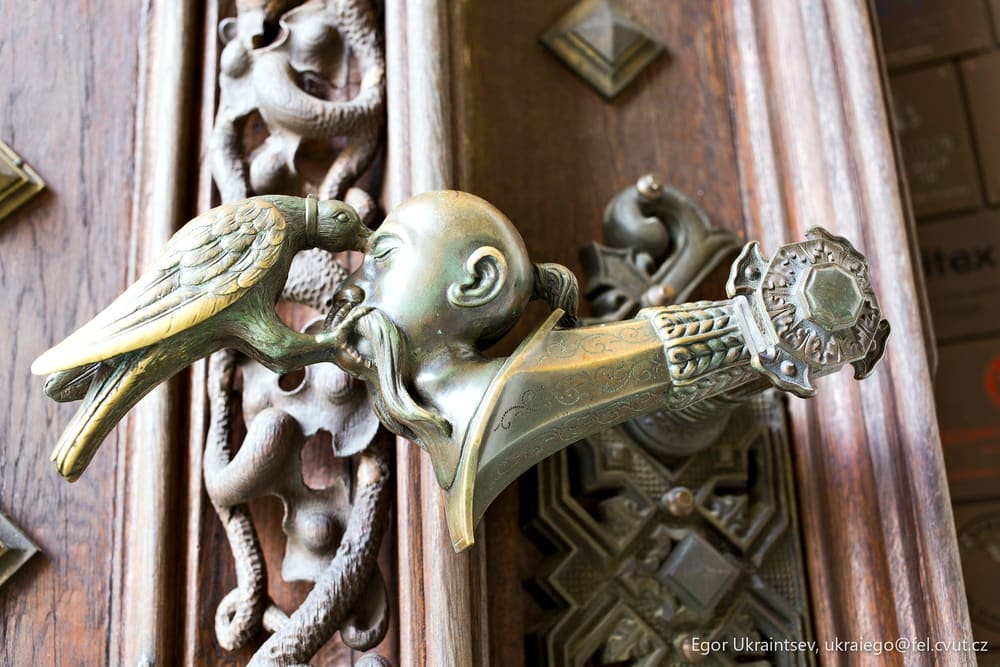 Bird on a door handle