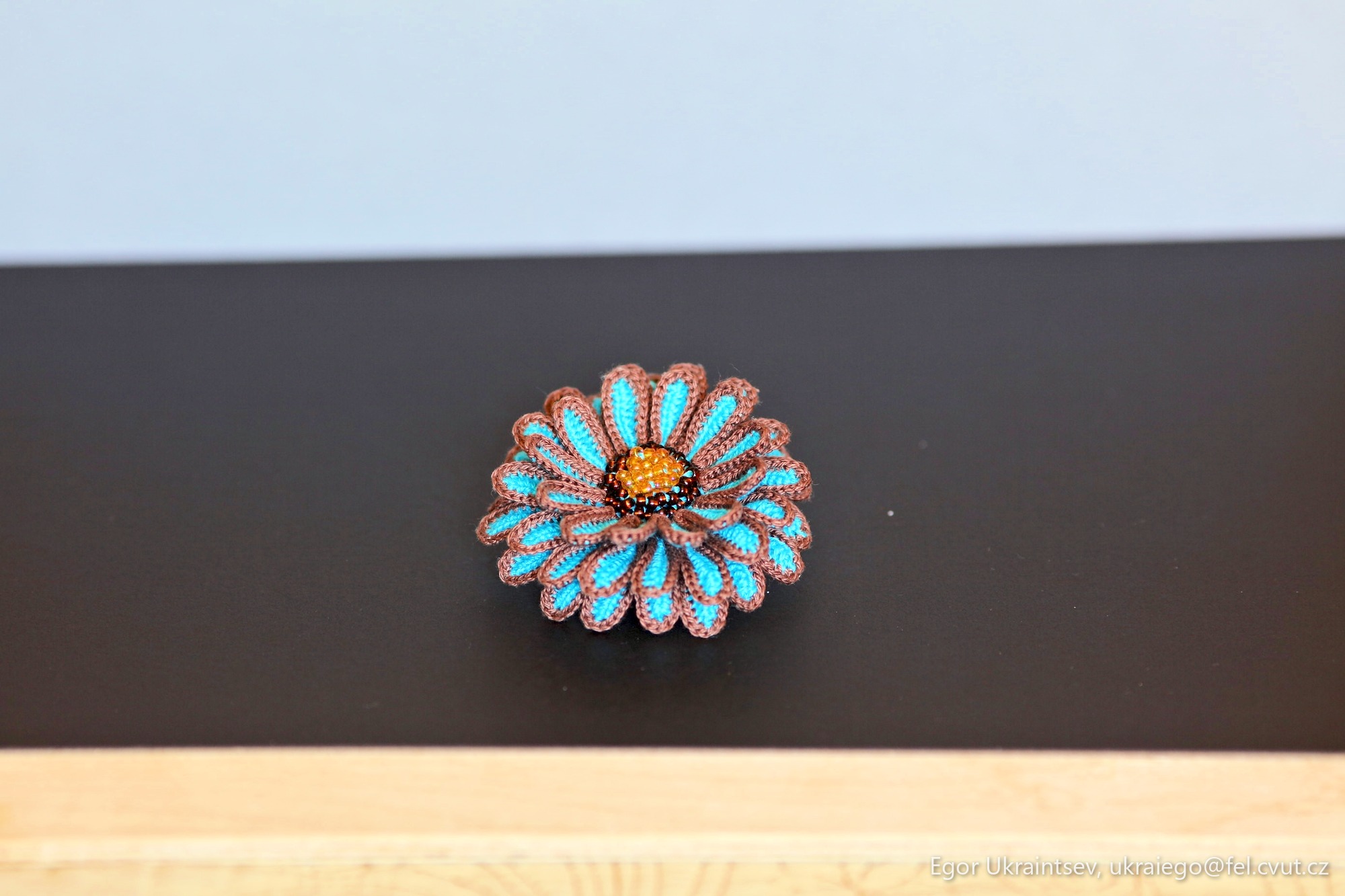 Blue flower on a black