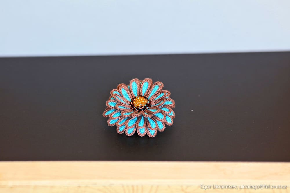 Blue flower on a black