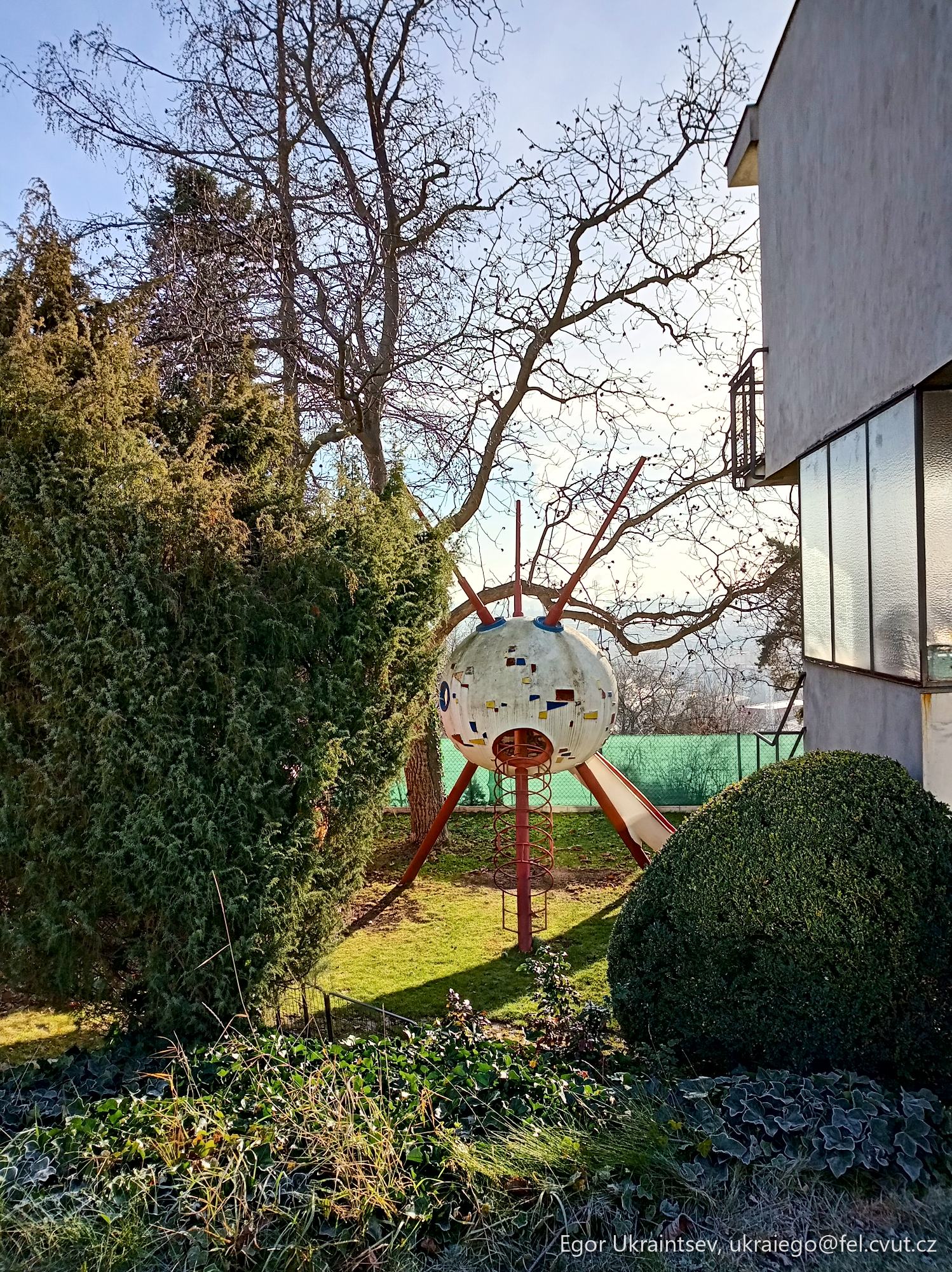 Tree that has been cut