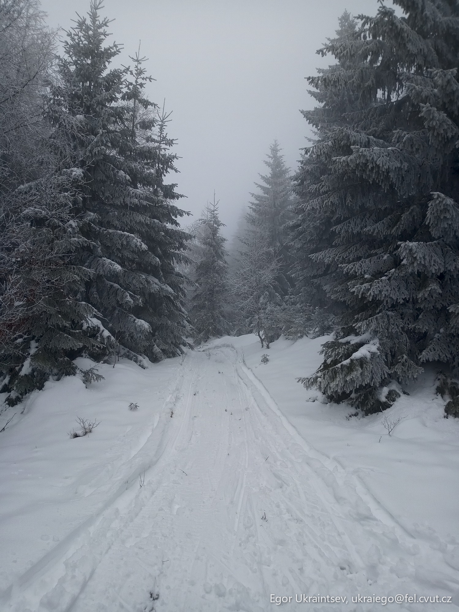Snow covered road