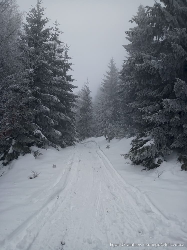 Snow covered road