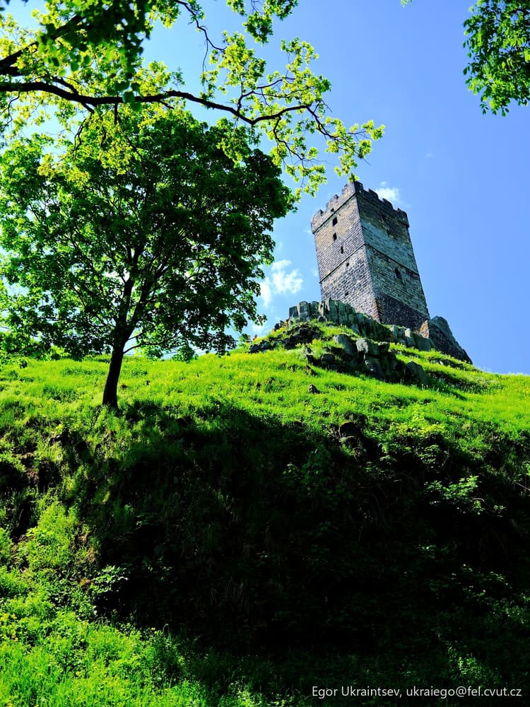 Tree on a hill