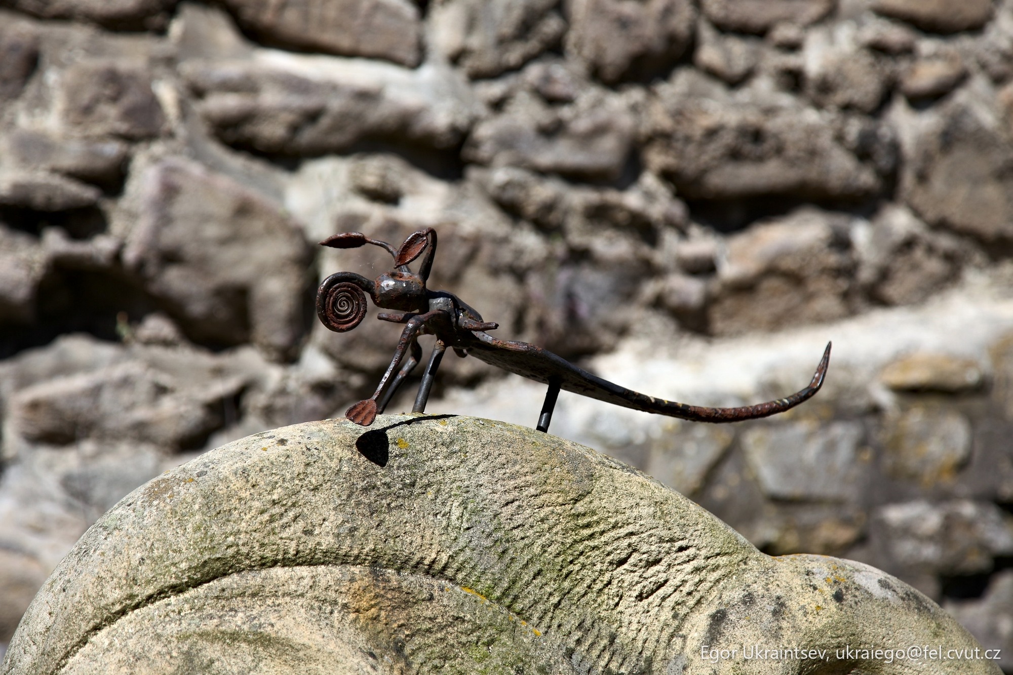 Snail on top of a rock