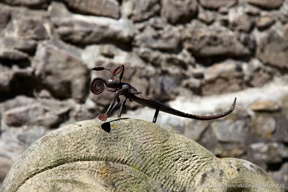 Snail on top of a rock