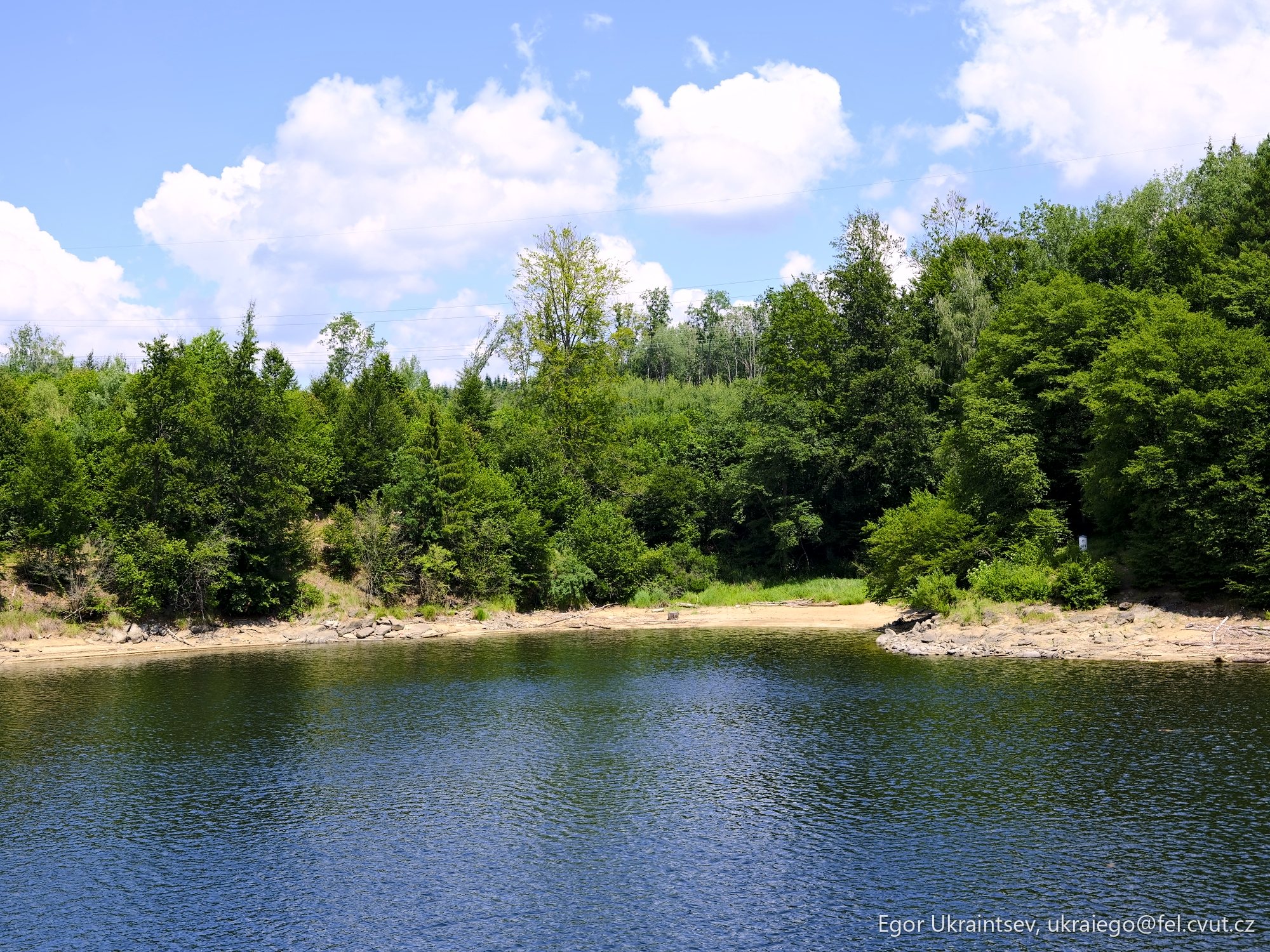 Lake surrounded by trees