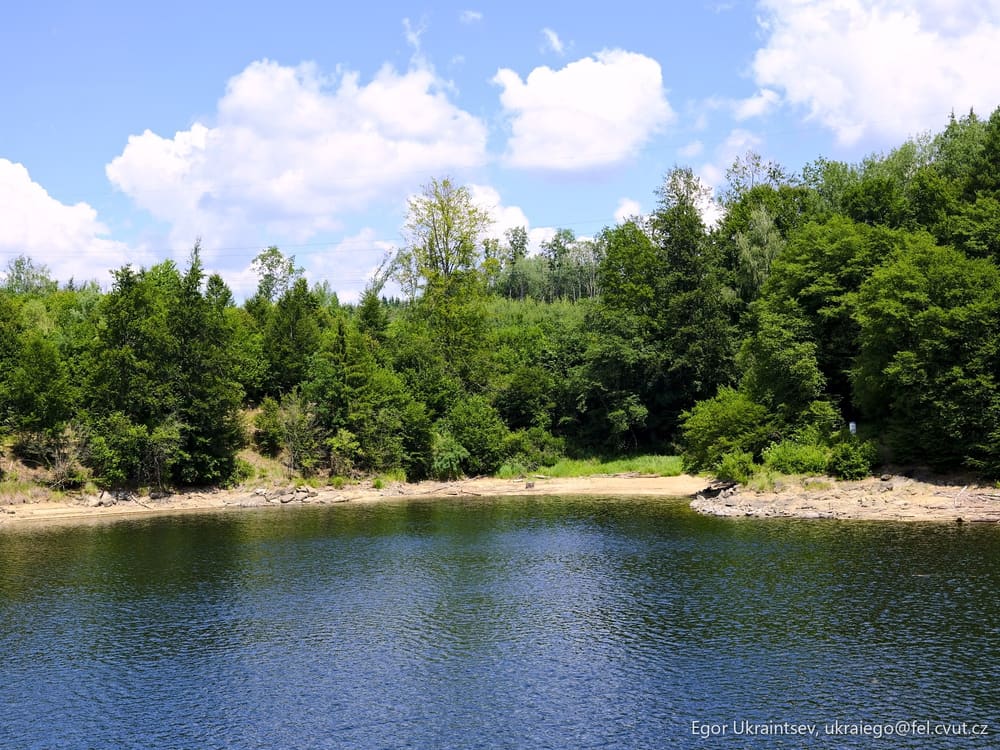 Lake surrounded by trees