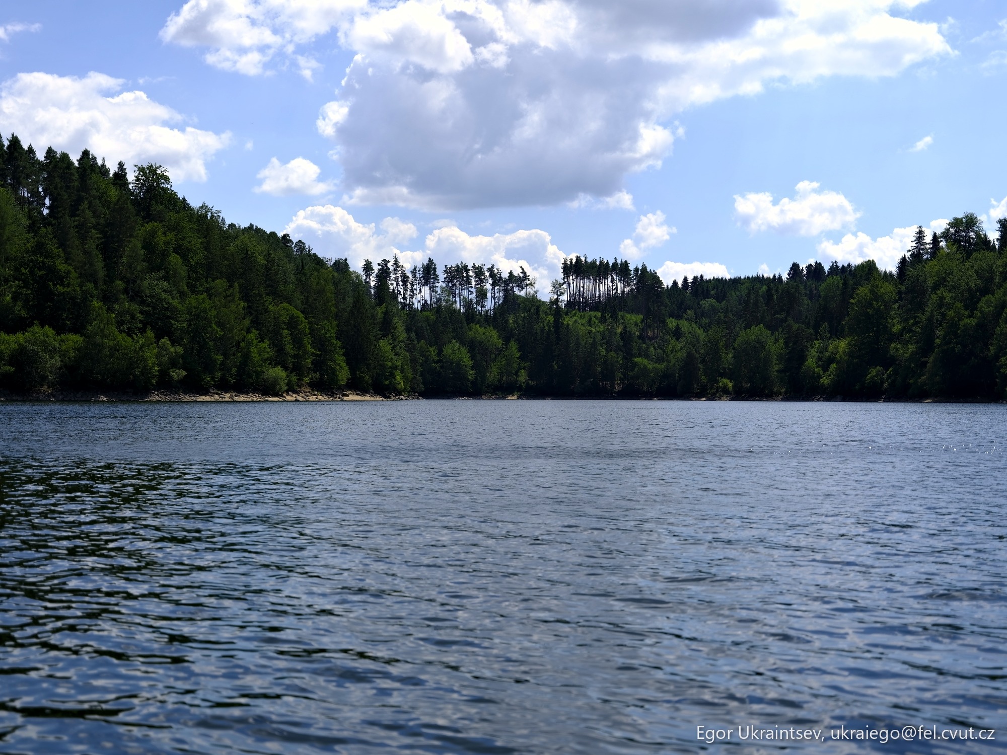 Lake with trees