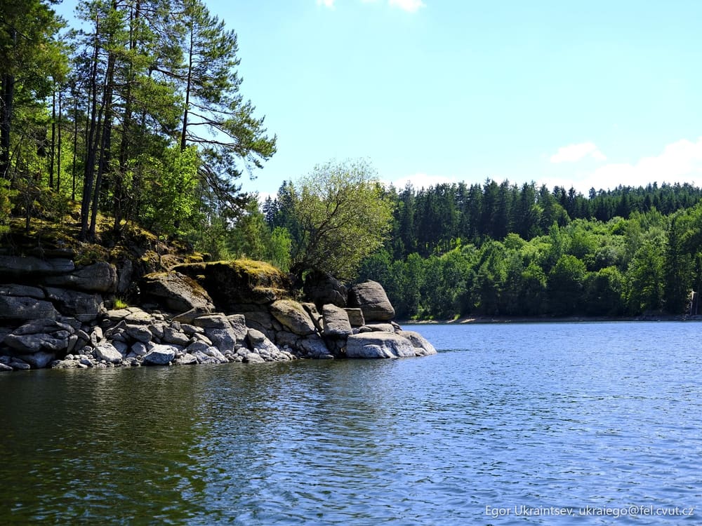 Lake surrounded by trees
