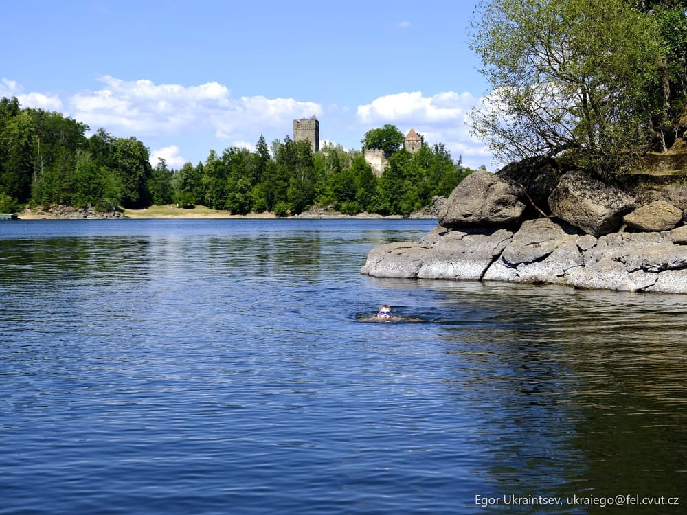 Lake with trees