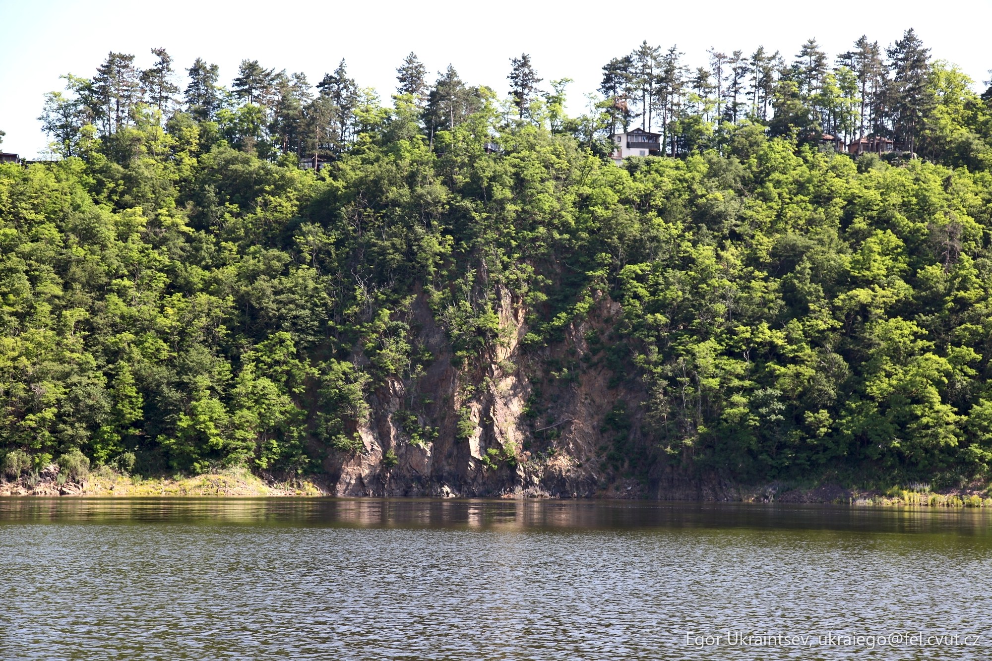Lake surrounded by trees