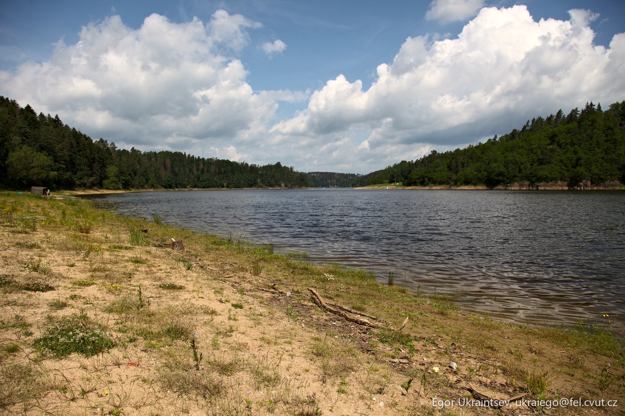 Lake in the woods