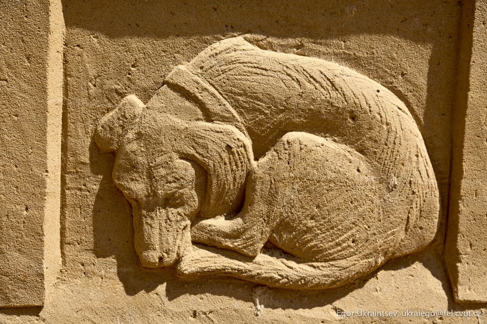 Dog carved into a wall
