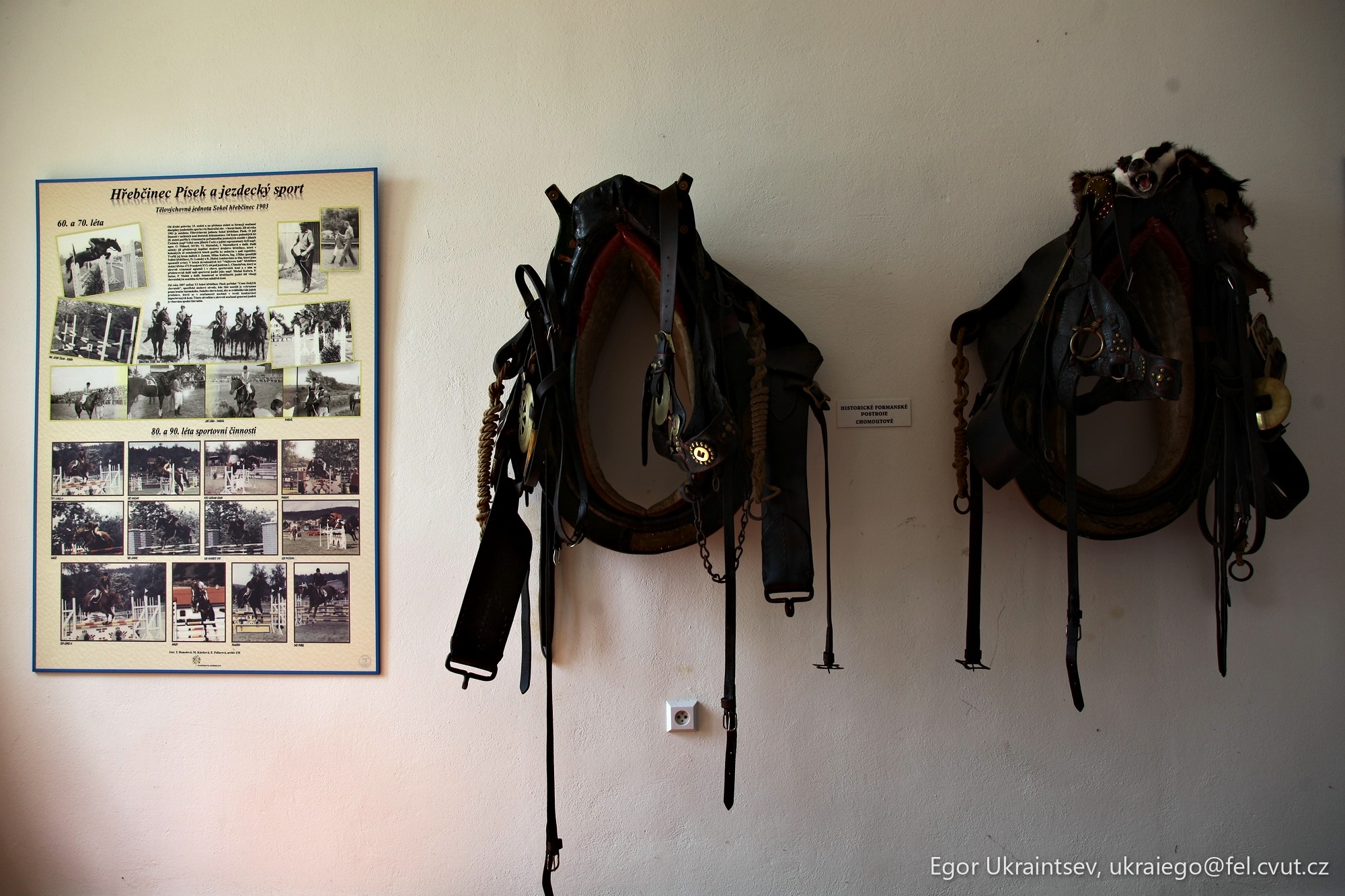 Horses hanging on a wall