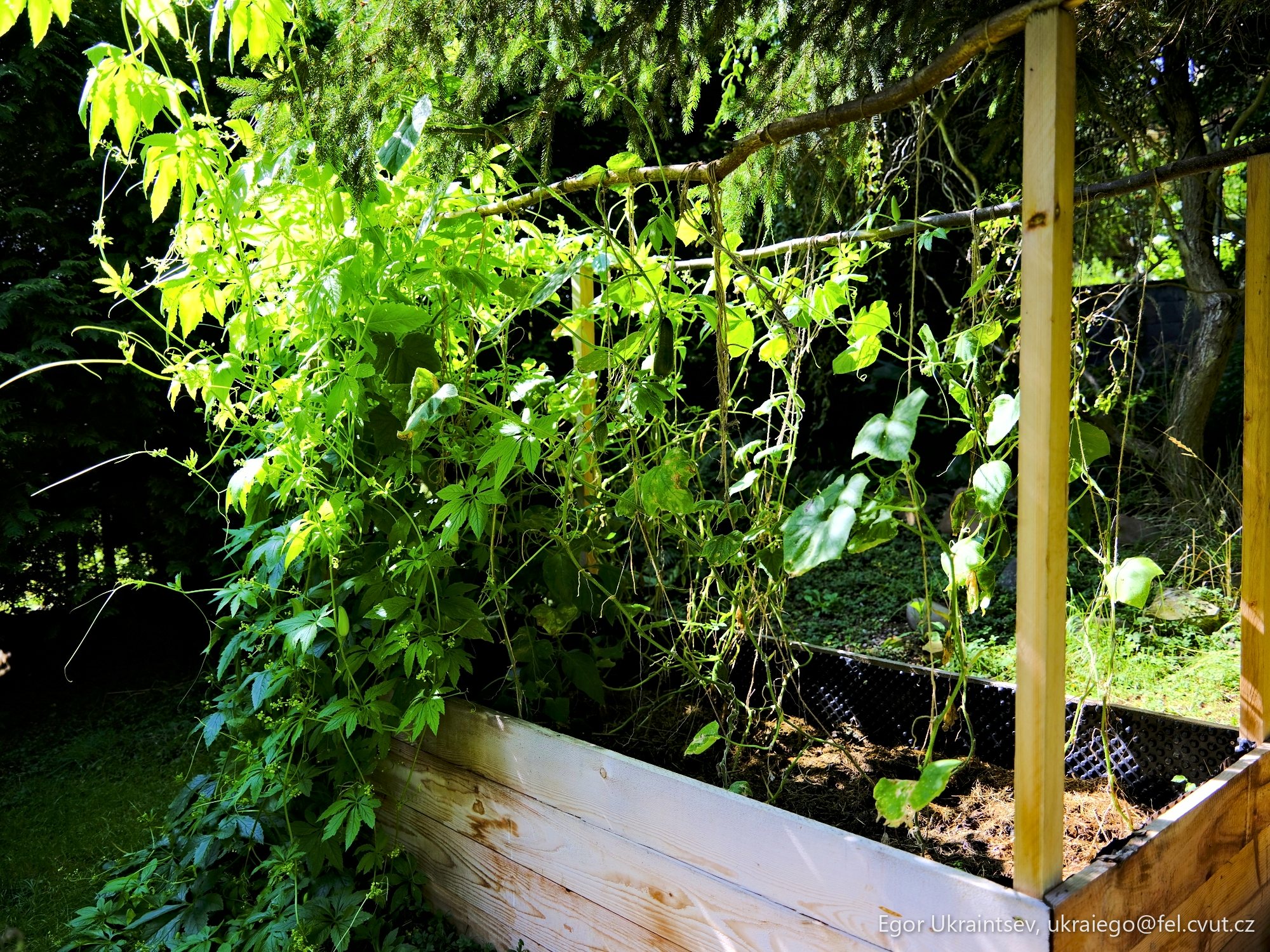 Raised garden bed