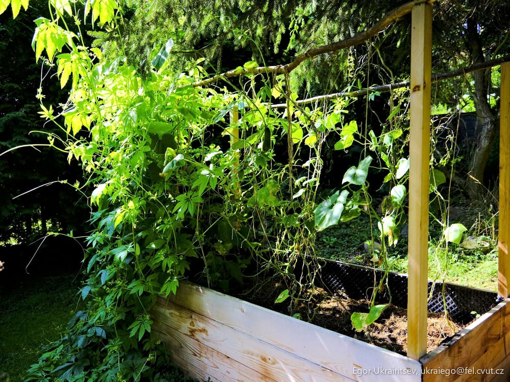 Raised garden bed
