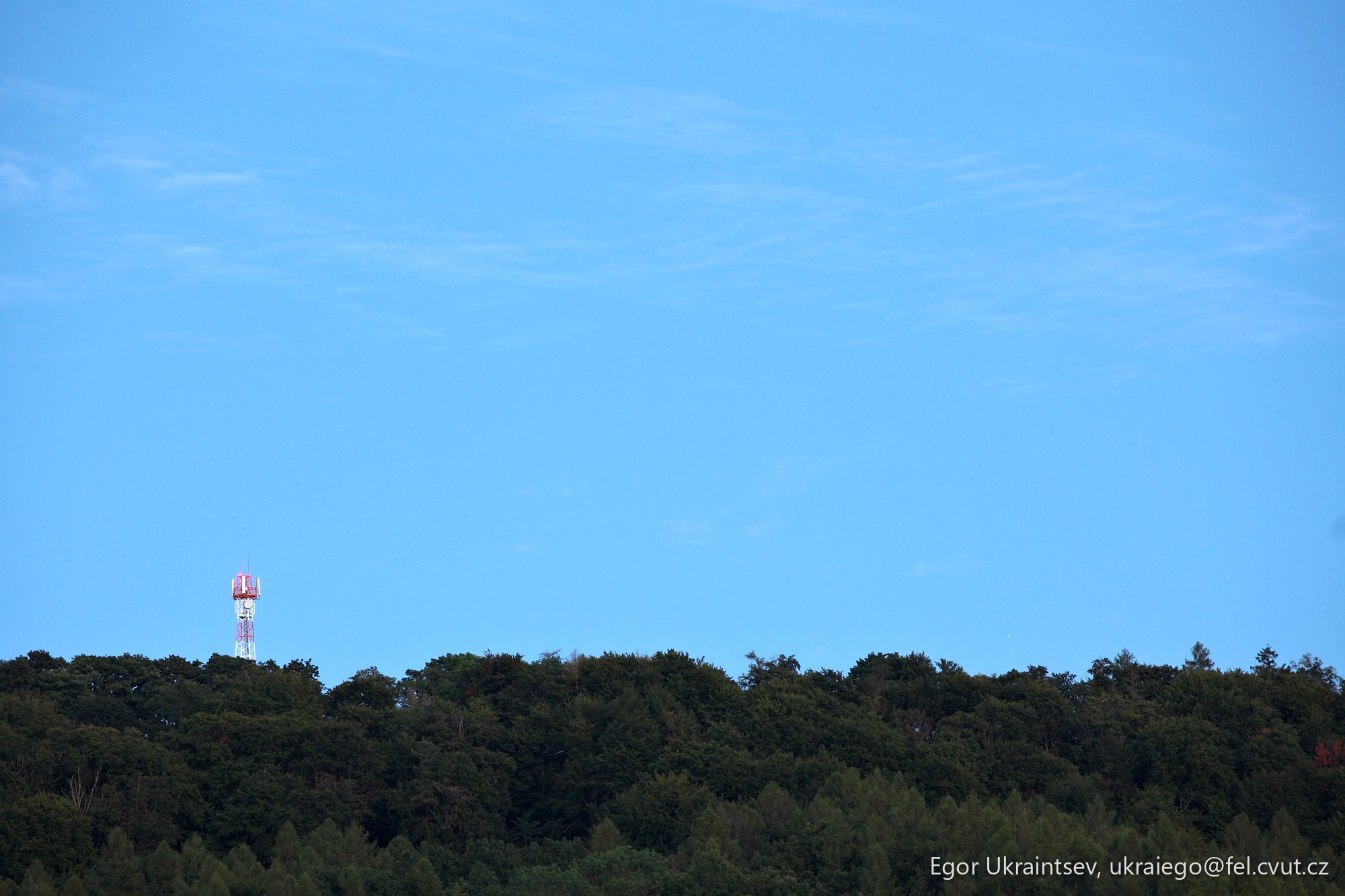 Kite flying in the sky