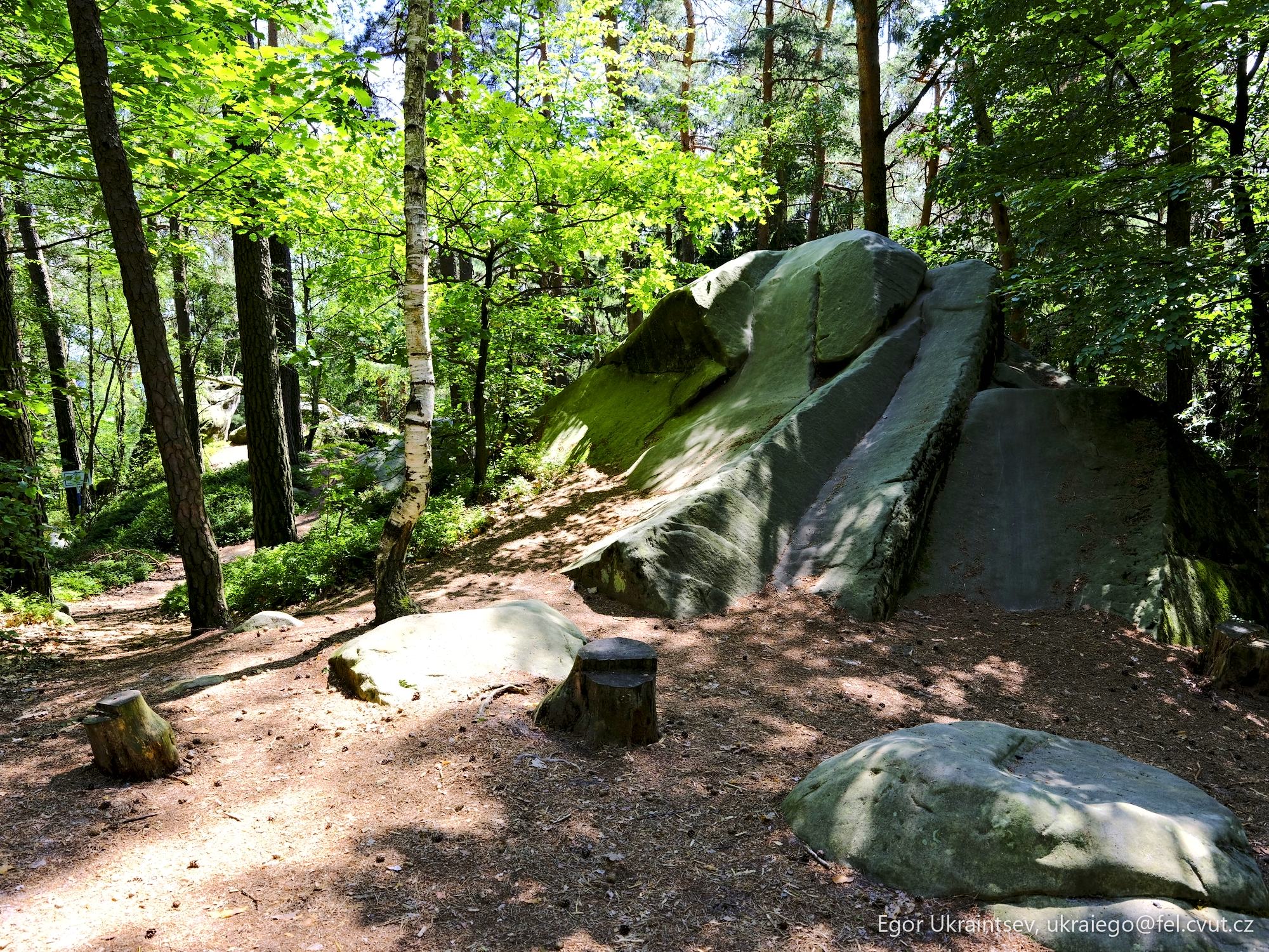 Rock in the woods