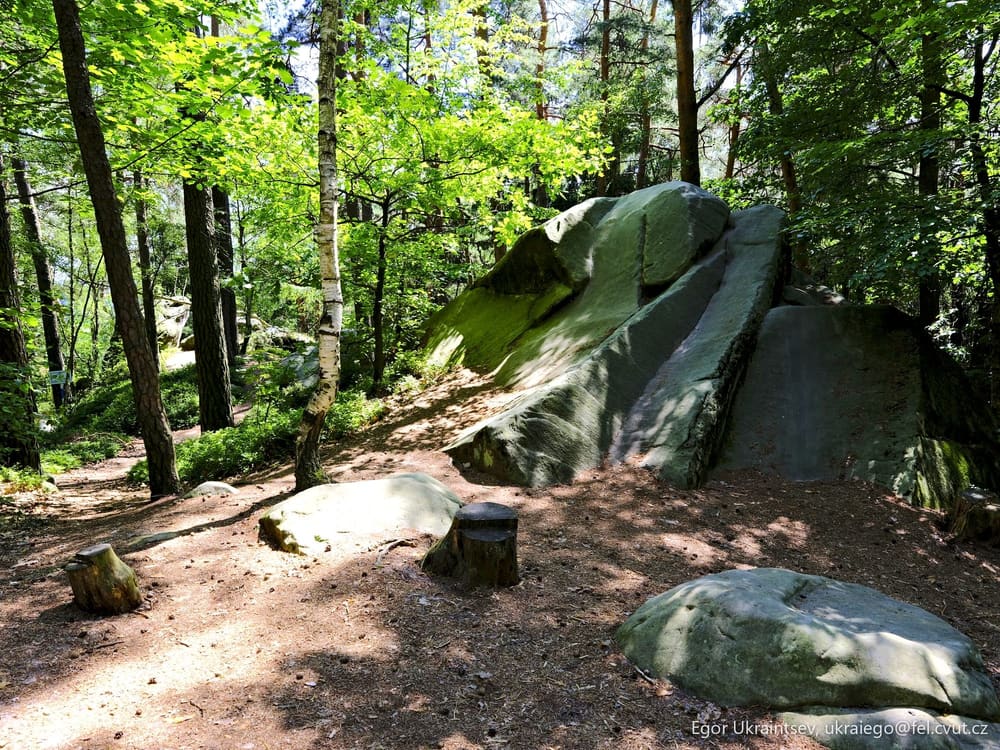 Rock in the woods