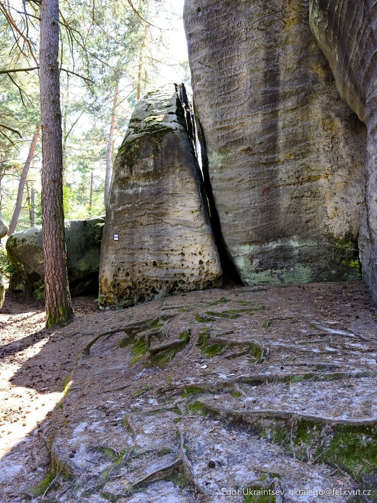 Rock formation in the woods