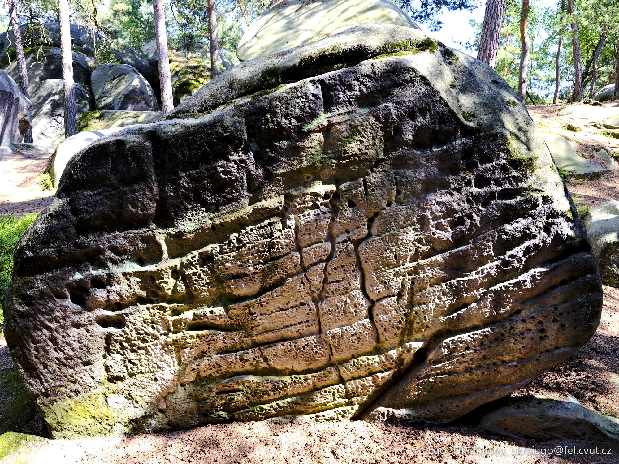 Large rock in the forest
