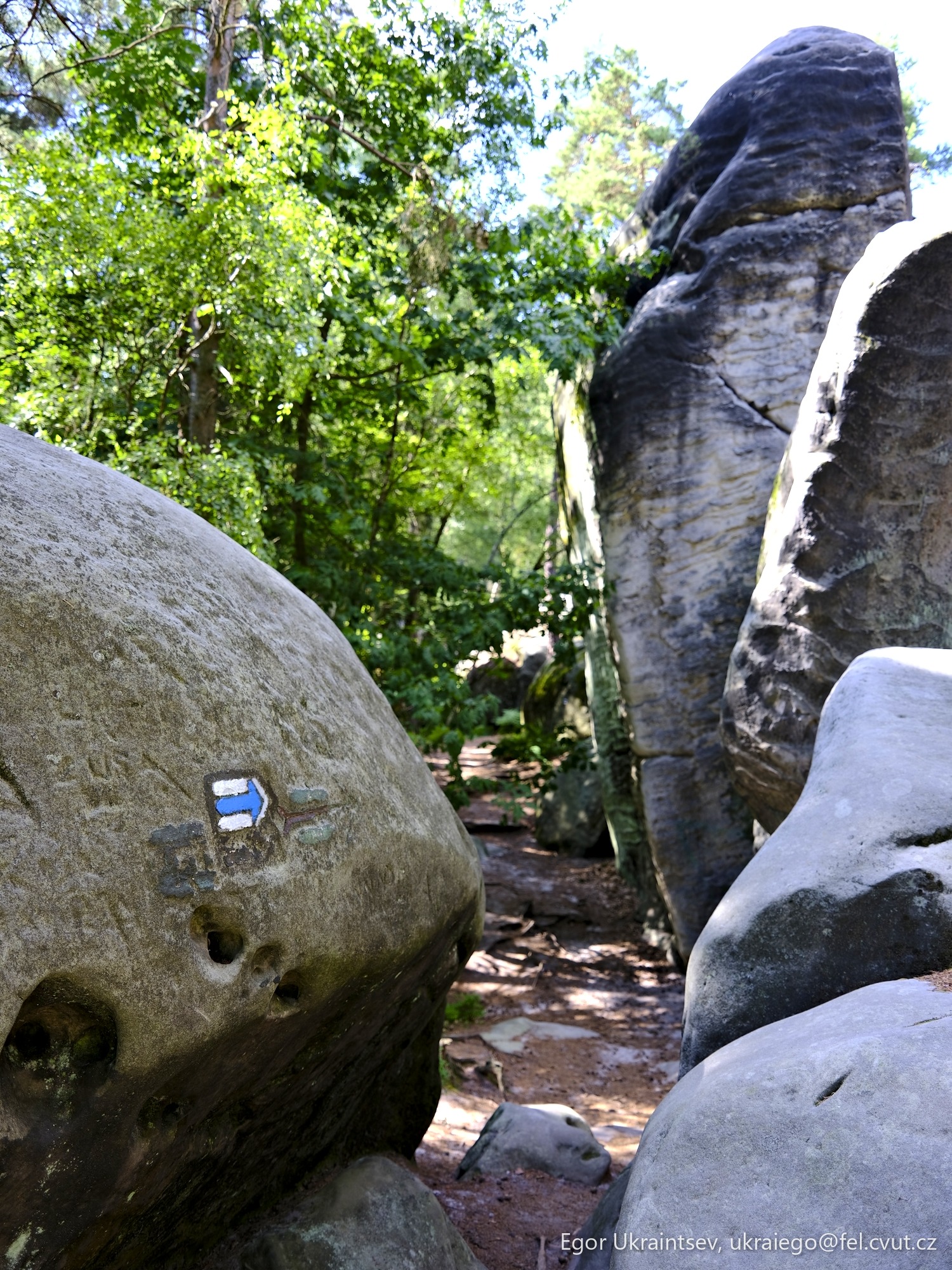 Rock in the woods