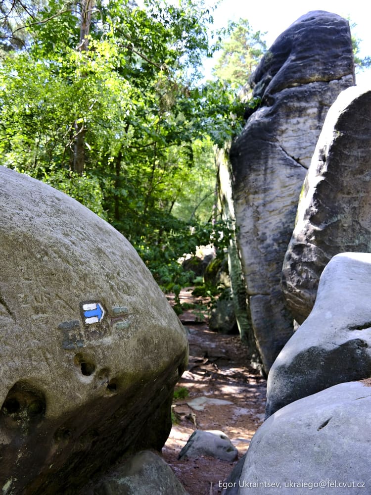 Rock in the woods