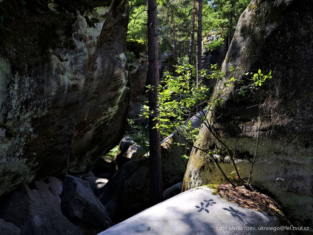 Rocks and trees