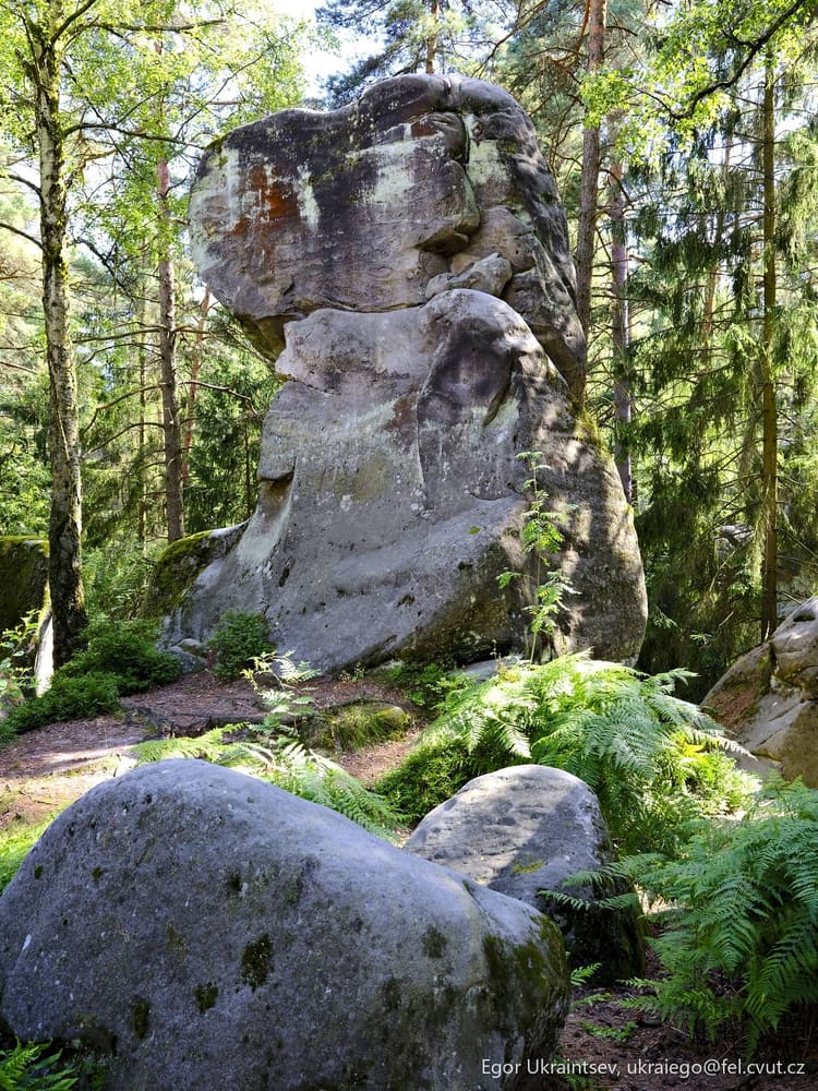 Rock formation in the forest
