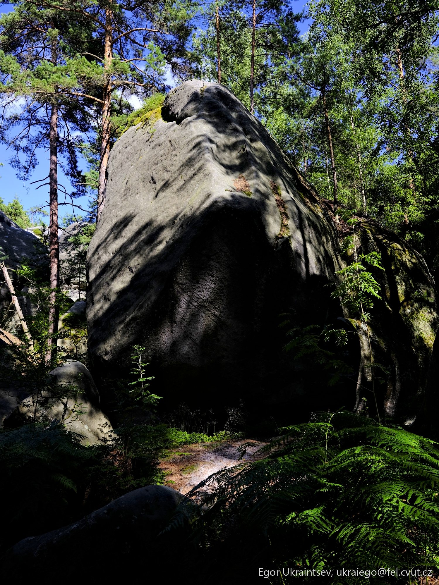 Rock in the forest