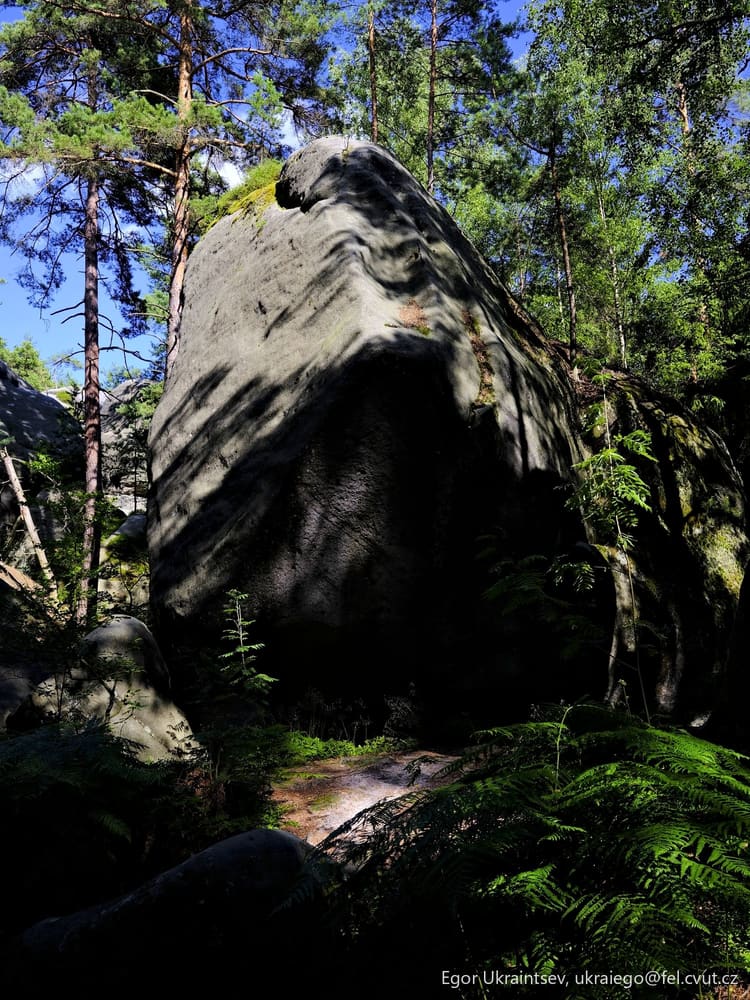 Rock in the forest