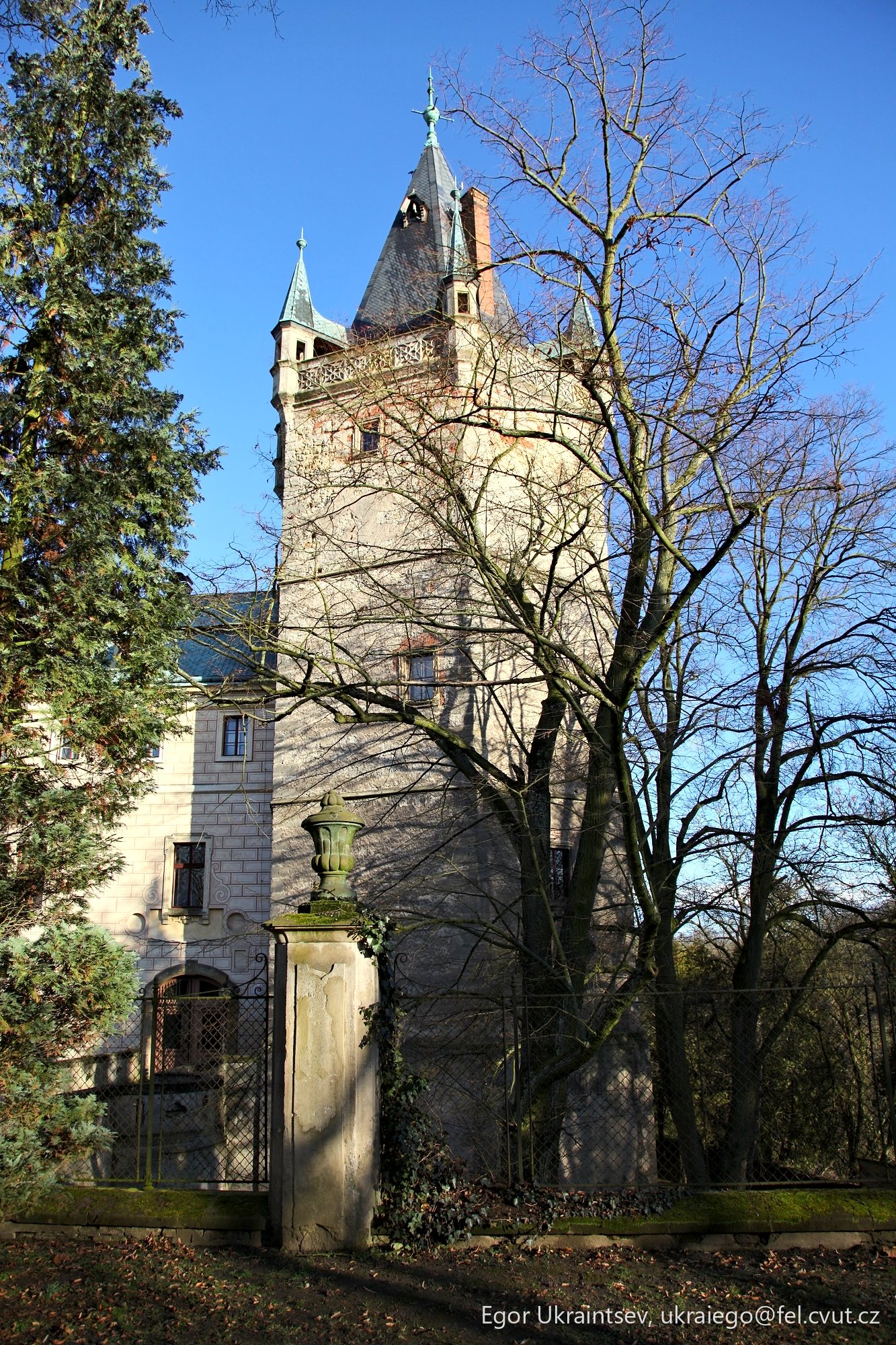 Old building with a tree