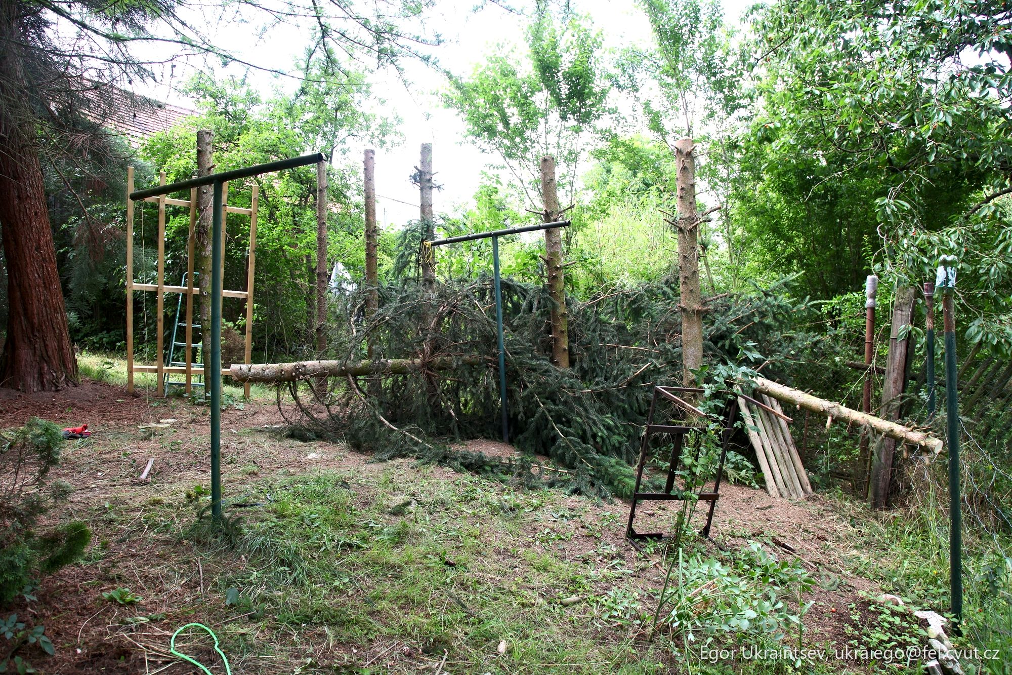 Tree fallen on a playground