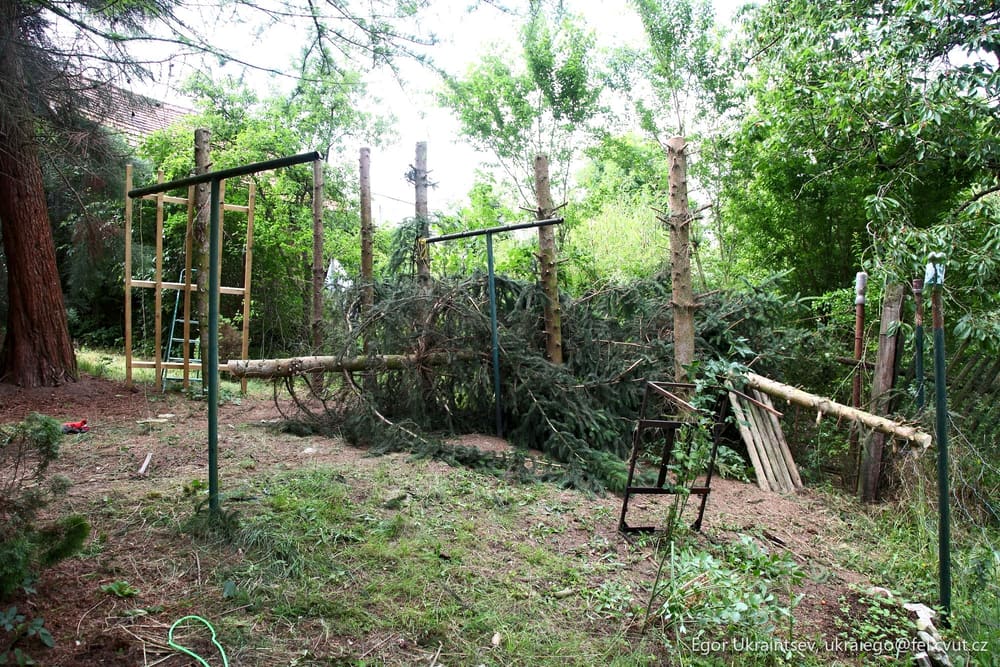 Tree fallen on a playground