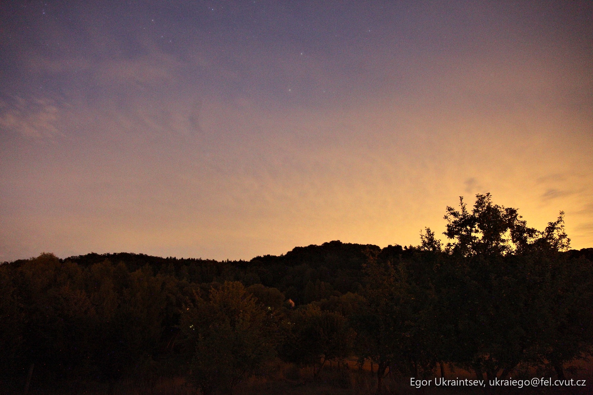 Night sky over a wooded