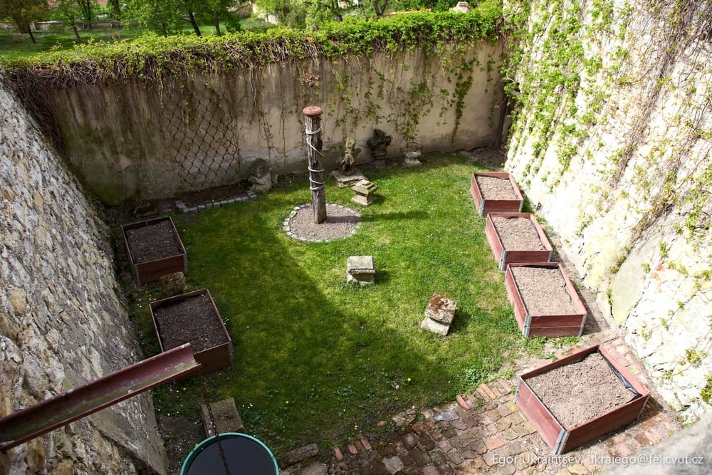Backyard garden