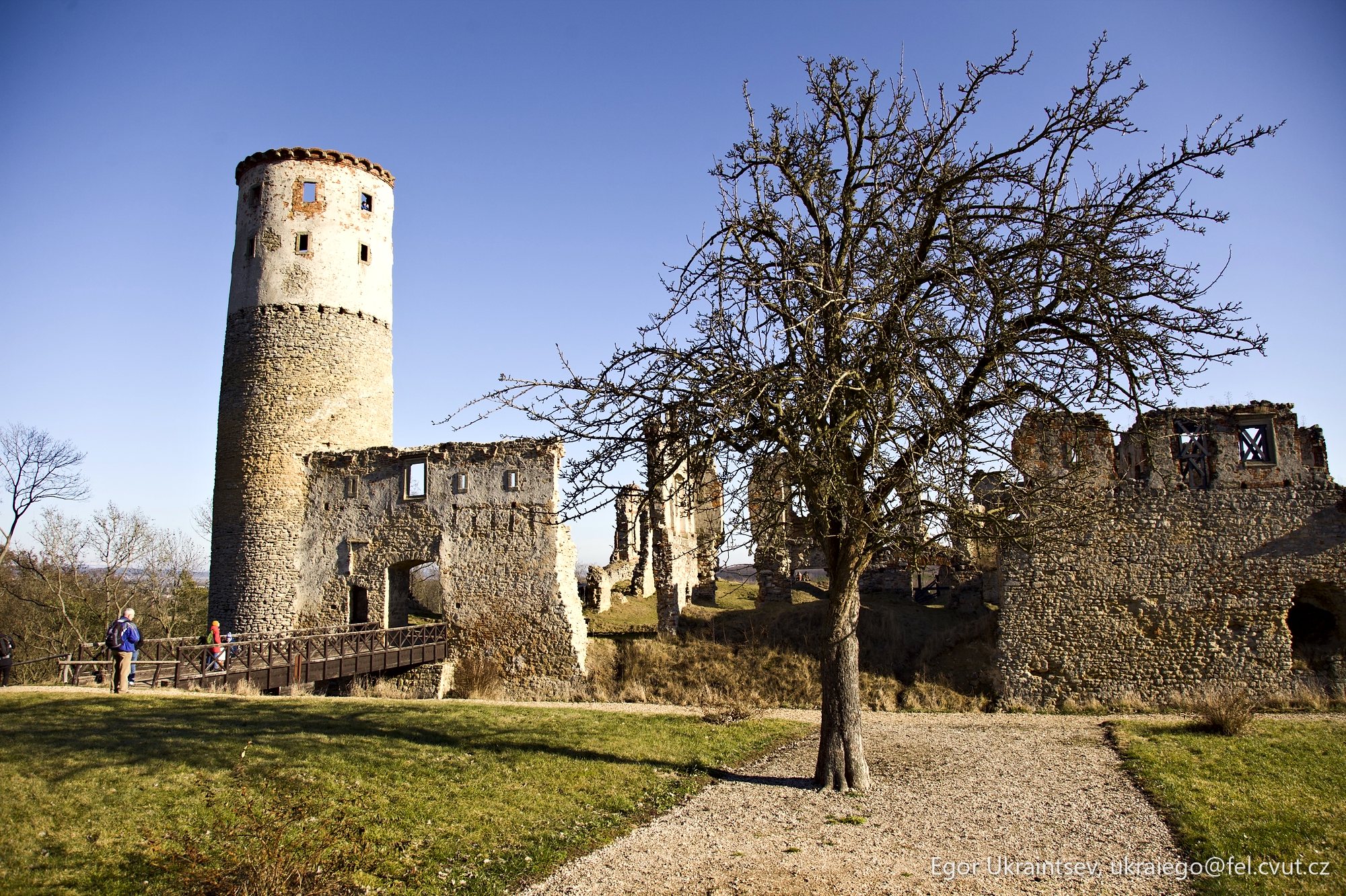 Castle with a tree