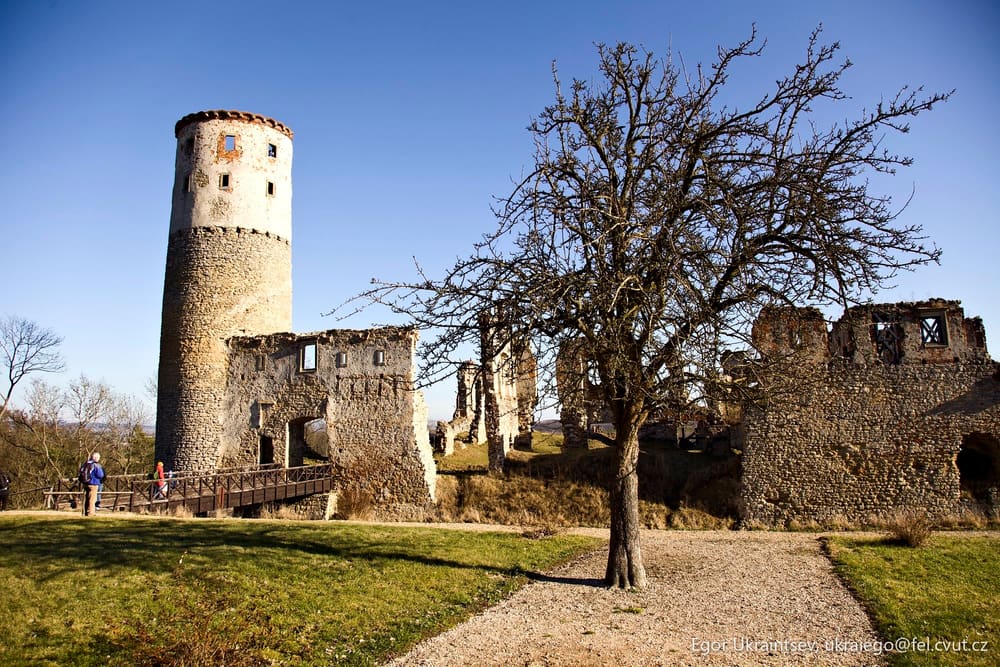 Castle with a tree