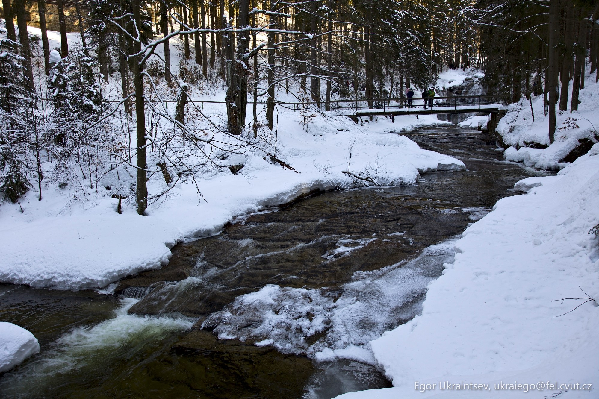 Stream in the woods