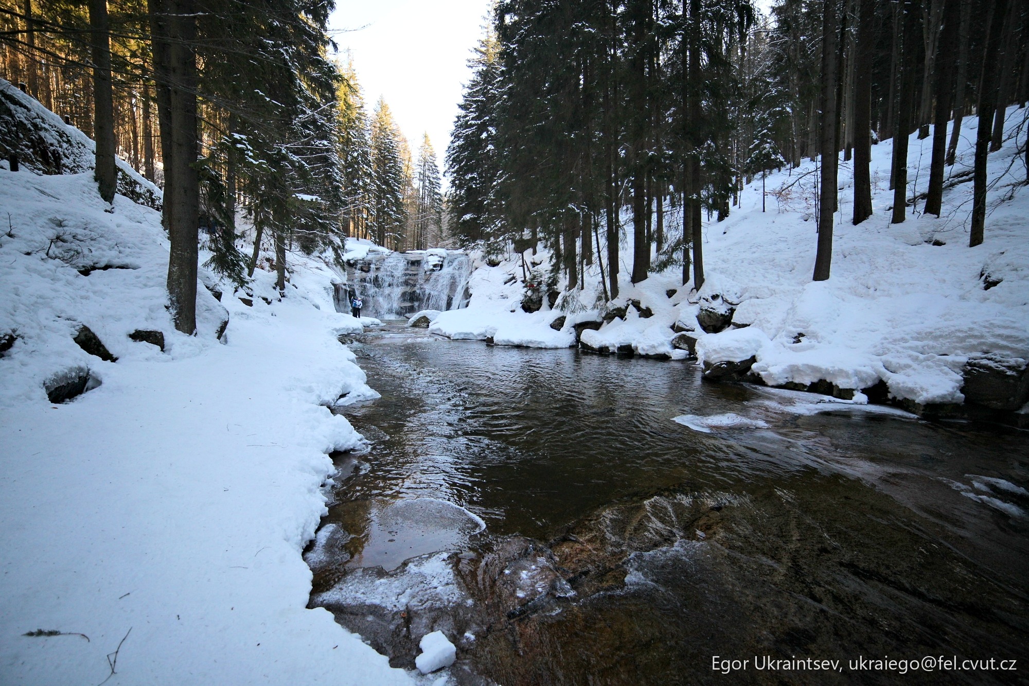 Stream in a snowy forest