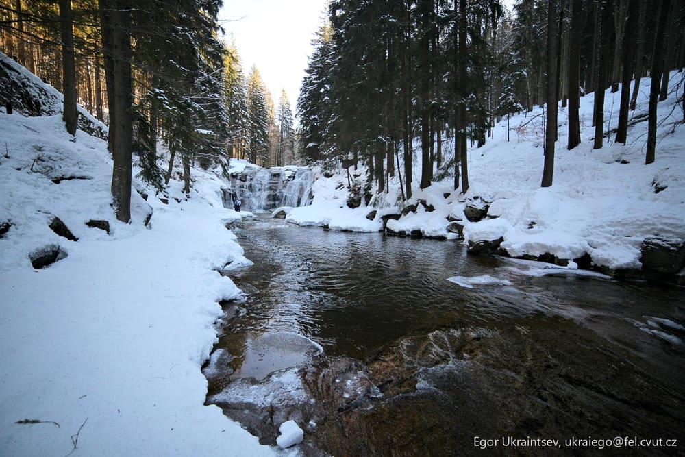 Stream in a snowy forest