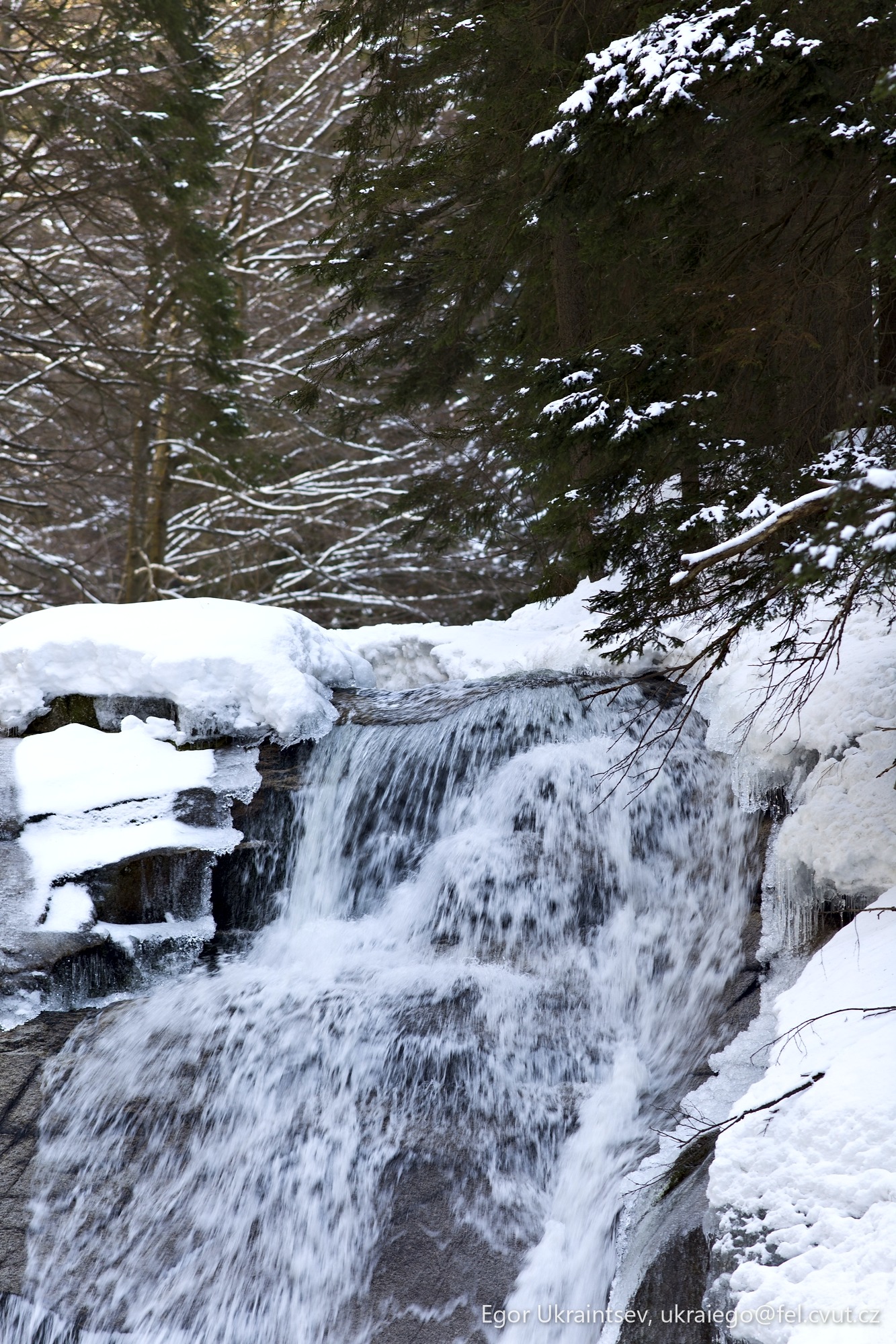Waterfall in the snow