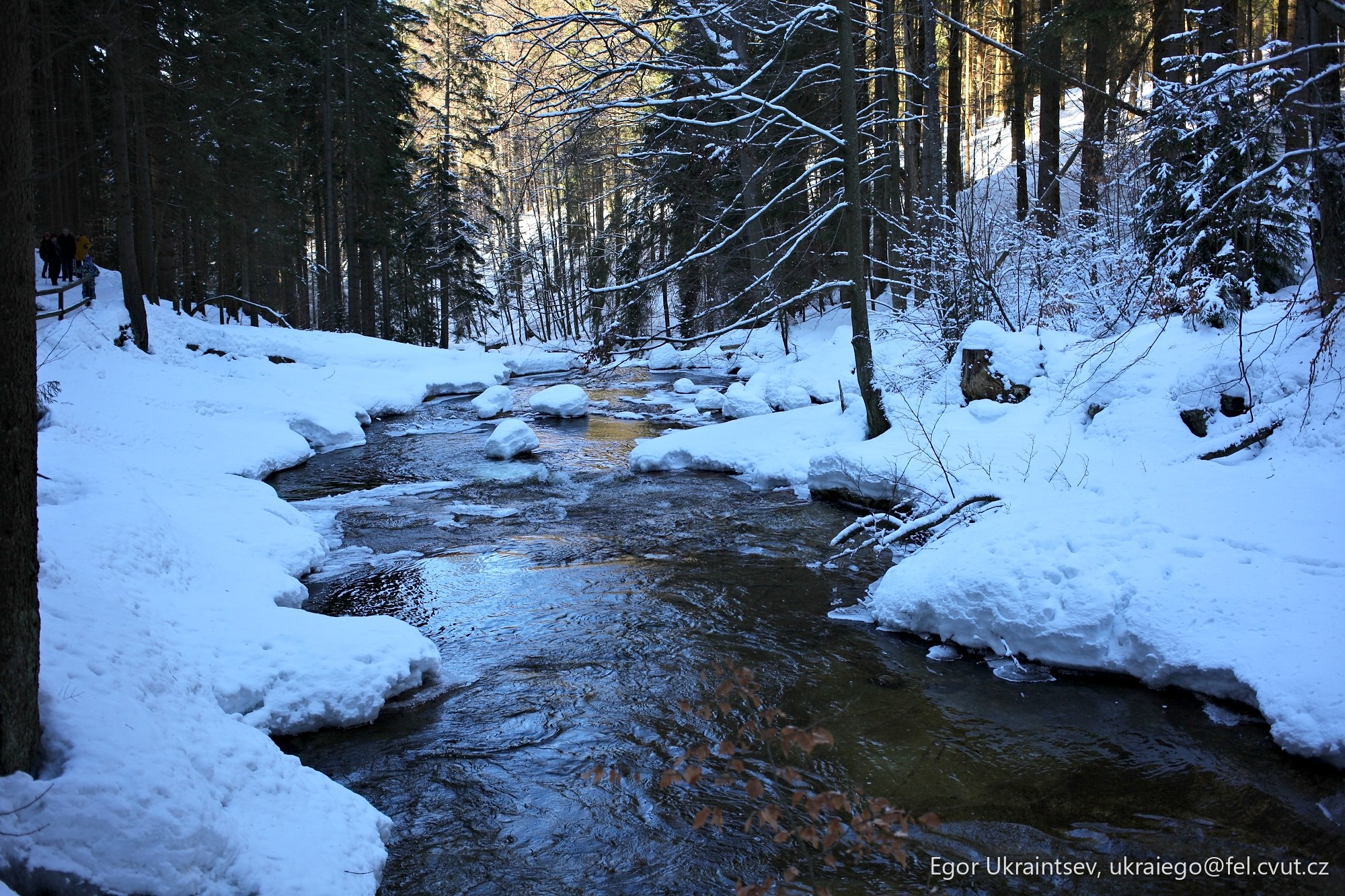 Stream in a snowy forest