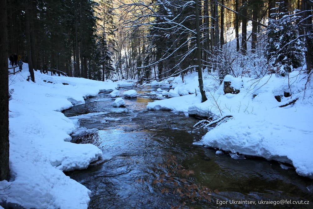 Stream in a snowy forest