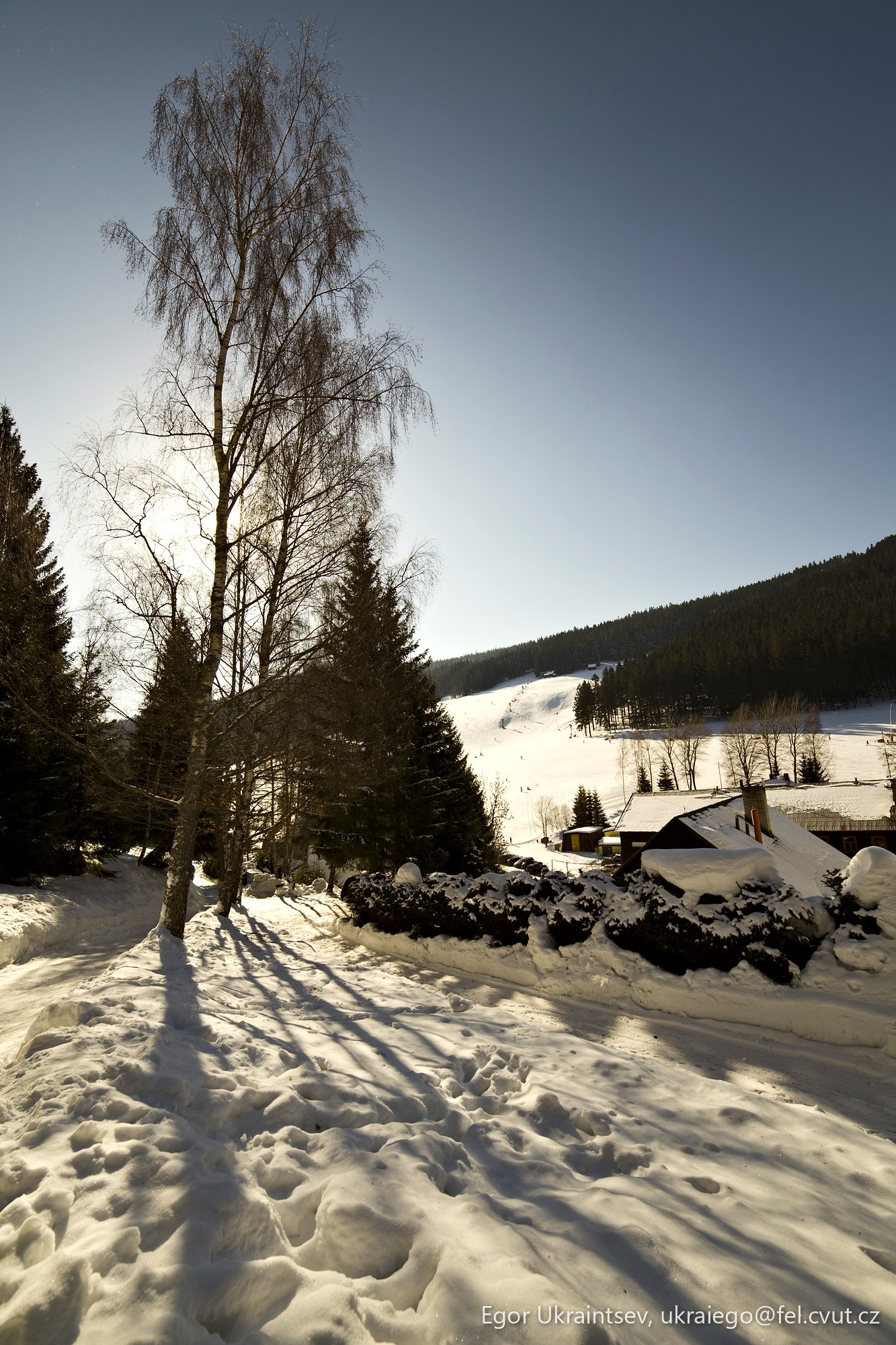 Snowy landscape with a tree
