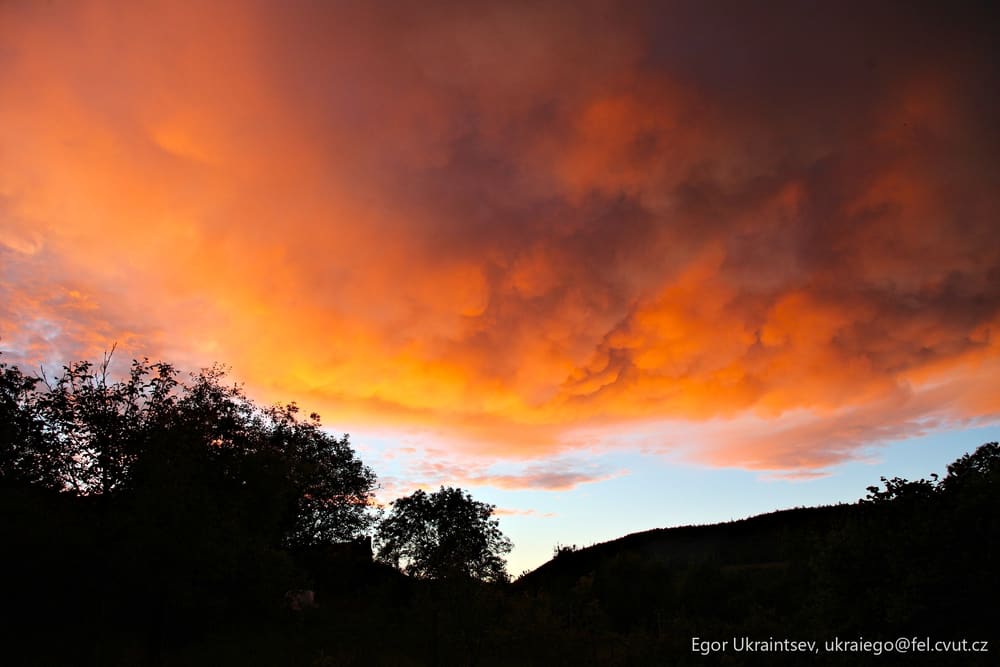 Sunset over a forest